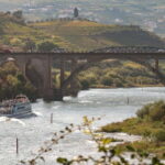 Porto/Regua/Porto (and reverse): Douro River Cruise + Lunch - Final Thoughts