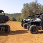 Porto Santo: 180 Minutes Off-Road Buggy Tour - Itinerary Breakdown