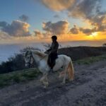 Porto Santo Island: Horse Riding - Practical Tips for Your Horse Riding Day
