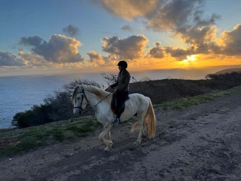 Porto Santo Island: Horse Riding - Practical Tips for Your Horse Riding Day
