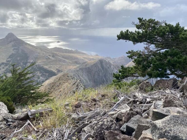 Porto Santo: Pico Branco and Terra Cha Guided Mountain Hike - The Route and Highlights