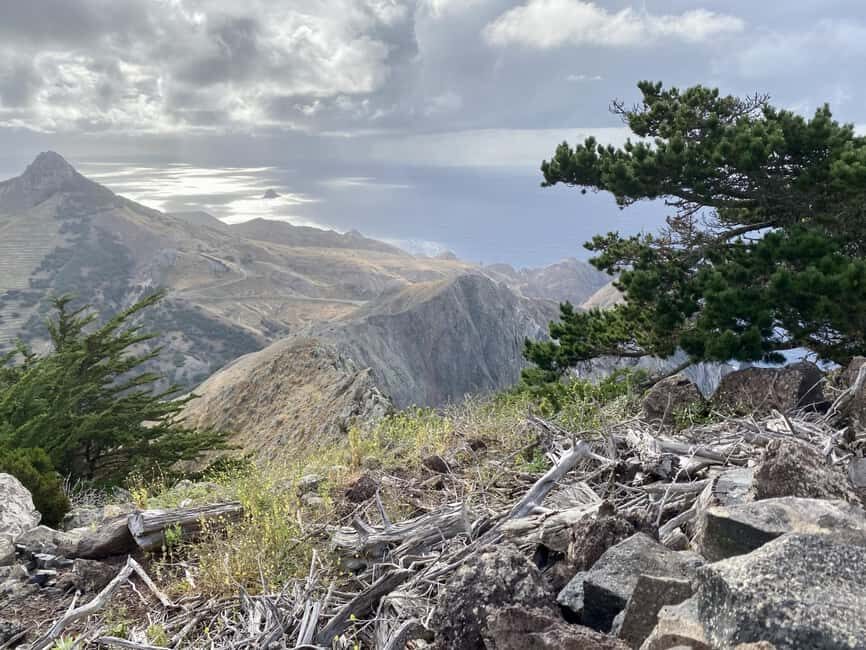 Porto Santo: Pico Branco and Terra Cha Guided Mountain Hike - The Route and Highlights