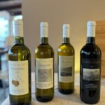 Porto Santo Stefano: Wine Tasting with Sea View - FAQs
