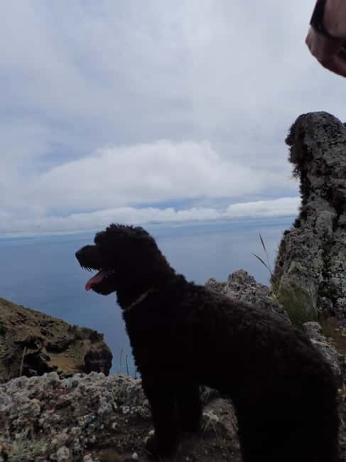 Porto Santo: Terra Chã and Pico Branco Hiking tour - Practical Considerations