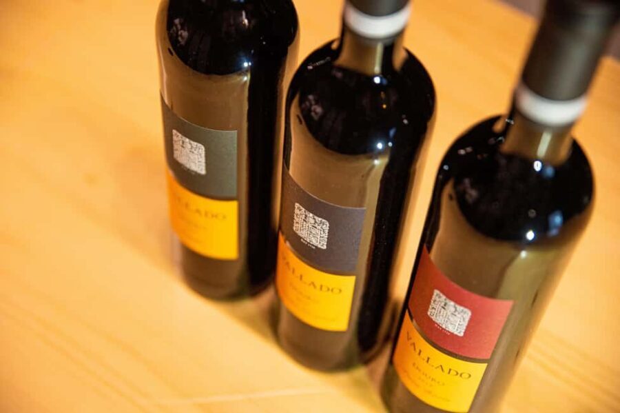 Porto: Single Varieties Tour & Tasting - Poente by Vallado - What Makes This Tasting Special?