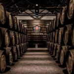 Porto: Taylor's Port Cellars & Tasting - Who Would Love This Experience?