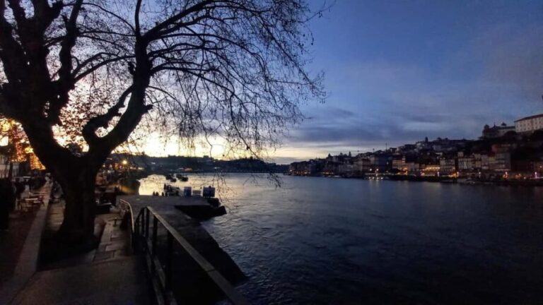 Porto: The Secret Sip - Alternative Wine Tour - Visiting the Cellars and Wineries