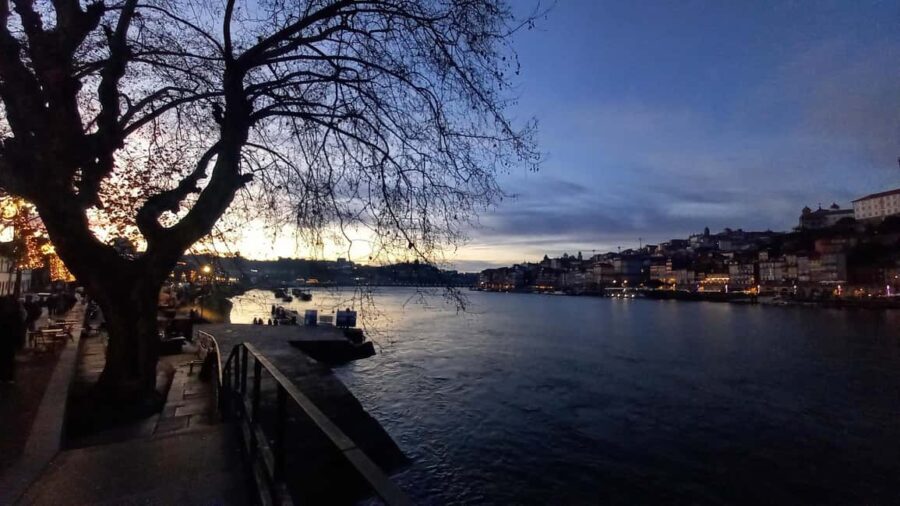 Porto: The Secret Sip - Alternative Wine Tour - Visiting the Cellars and Wineries