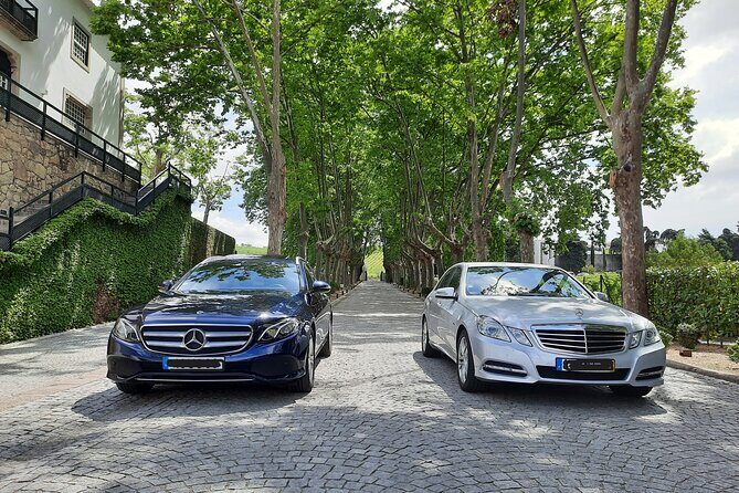 Porto to/from Douro Valley (1-8 pax) Private Transfer in Mercedes - Pricing and Value