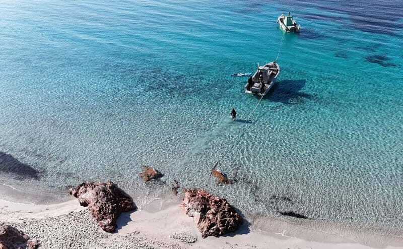 Porto-Vecchio: beginner diving in the Cerbicale Islands in the reserve - The Highlights in Detail