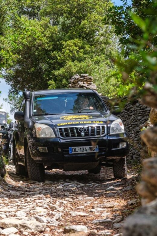 Porto Vecchio: Cuscionu Plateau & Alta Rocca 4x4 Tour - What Makes This Tour Special