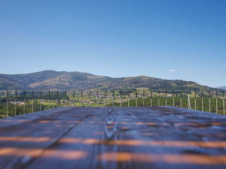 Porto: Vinho Verde Region Tour with 2 Wineries & Lunch - Visiting the First Winery: Tradition and Passion