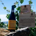 Porto: VR Tour with 4 Iconic Wines - Poente by Vallado - The Wines: A Closer Look