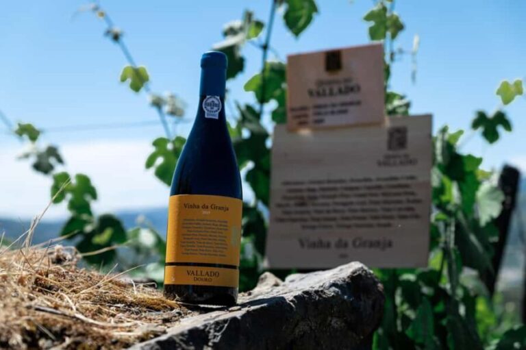 Porto: VR Tour with 4 Iconic Wines - Poente by Vallado - The Wines: A Closer Look