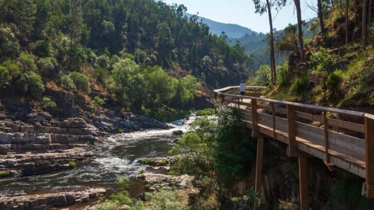Porto: Walk along the Paiva Walkways and Adventure in Nature - The Midday Picnic