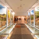 Porto: Wine Experience Musem with 3 Wine Tastings - The Value of the Experience