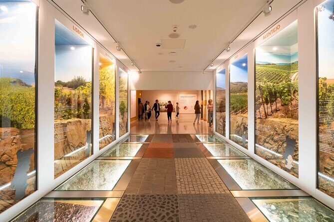 Porto: Wine Experience Musem with 3 Wine Tastings - The Value of the Experience