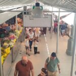 Porto with a Local Private City Tour and Lunch - Transportation and Flexibility