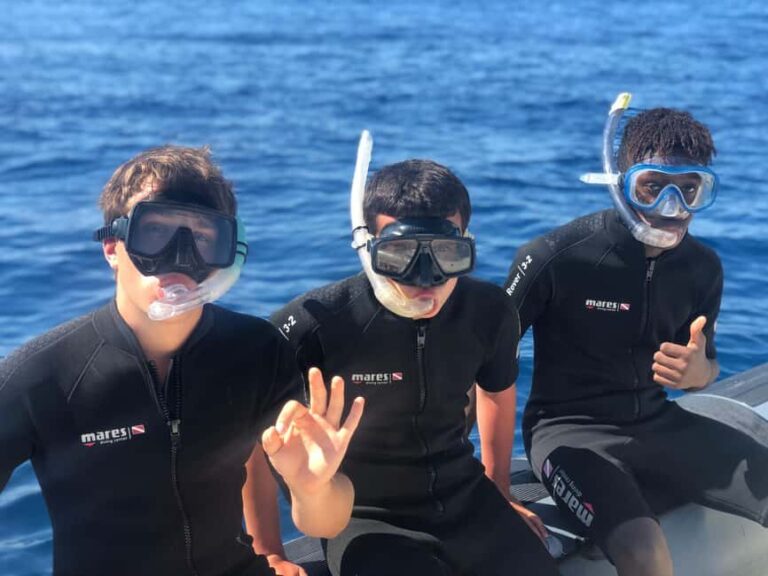 Portoferraio: Snorkeling Tour in Marine Reserve by Boat - An Honest Look at the Experience