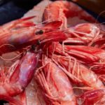 Portofino: boat tour with seawalker 33 - The Boat: Space, Comfort, and Safety