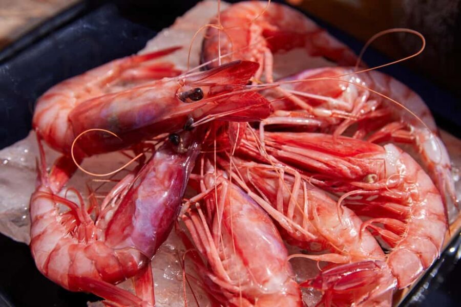 Portofino: boat tour with seawalker 33 - The Boat: Space, Comfort, and Safety