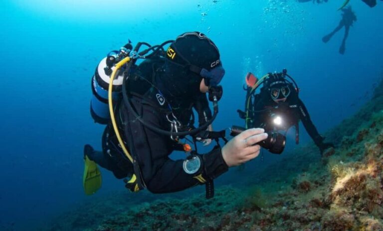 Portofino: scuba diving from Genoa - Who This Tour Is Best For