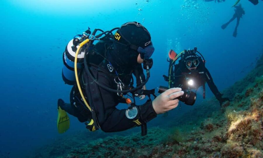 Portofino: scuba diving from Genoa - Who This Tour Is Best For