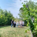 Portogruaro: Vineyard walk and tasting with Le Crede - Meet the Winemakers and Learn Their Values