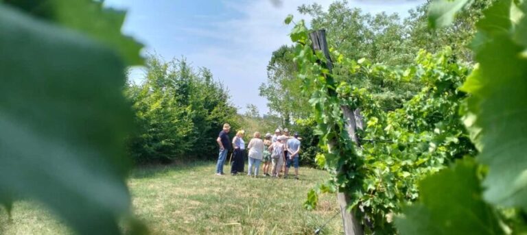 Portogruaro: Vineyard walk and tasting with Le Crede - Meet the Winemakers and Learn Their Values