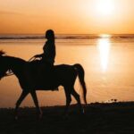 Portugal: Horseback Riding Tour with Wine - Final Thoughts