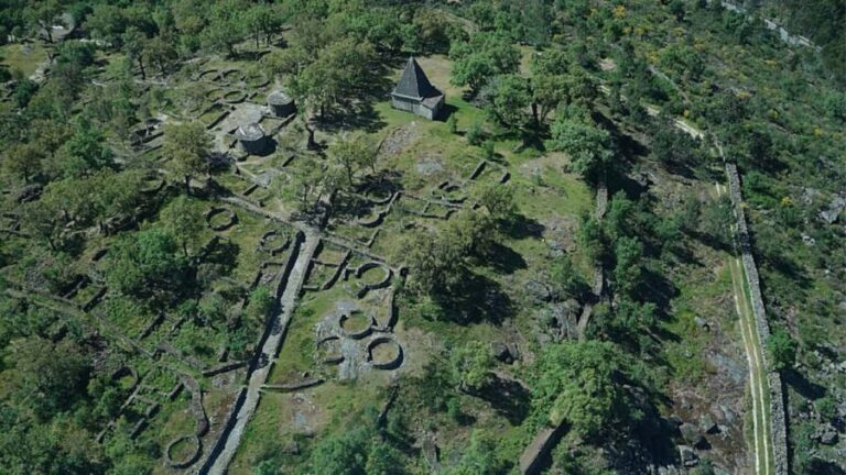 Portugal Origin Guimarães Private Tour - The Full-Day Experience: More Than Just Sights