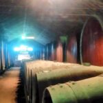 Portuguese Wine History & Amazing Landscape - A Detailed Look at the Tour: What to Expect