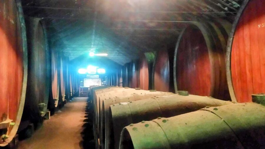 Portuguese Wine History & Amazing Landscape - A Detailed Look at the Tour: What to Expect