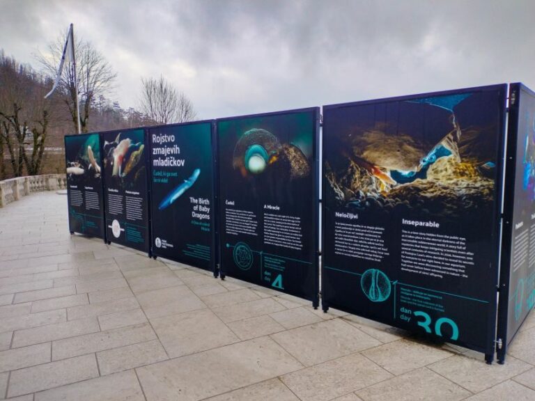 Postojna cave day tour from Ljubljana - The Itinerary in Detail