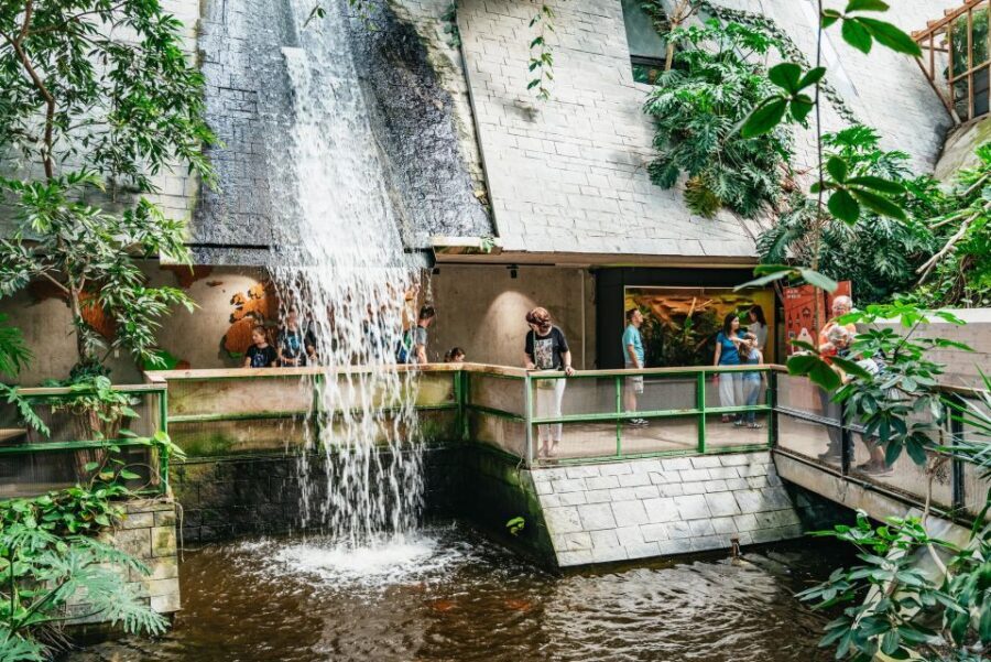 Potsdam: Biosphäre Potsdam Entry Ticket - Who Should Visit the Biosphäre Potsdam?