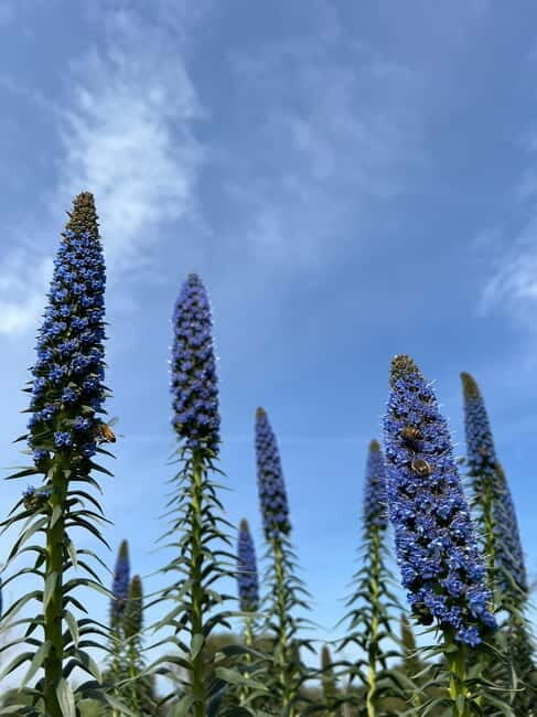 Pozzo Faceto: botanical garden - Who Should Visit?