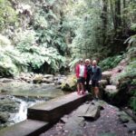 PR18 Levada do Rei with Local Guide - The Real Deals and Some Caveats