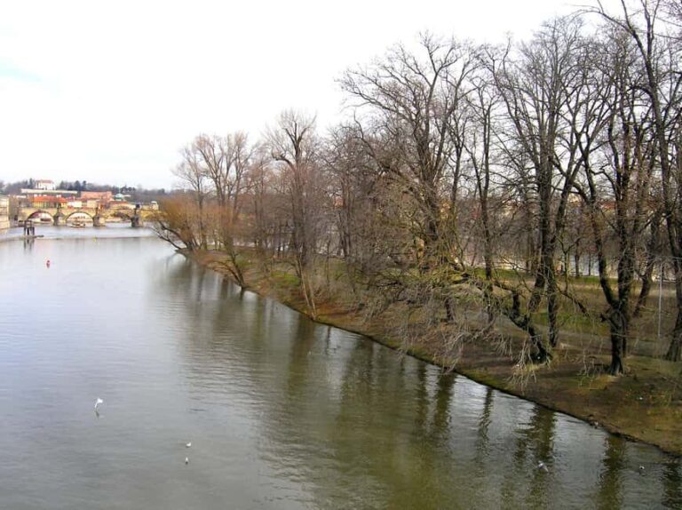 Prague: Colonialism Legacy Walking Tour - The Practical Side