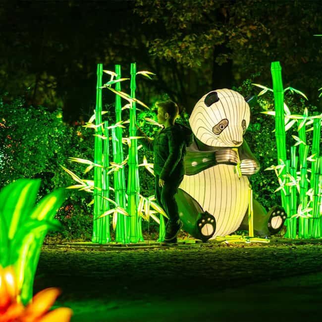 Prague: Garden of Lights Entry Ticket - What Can You Expect During the Visit?