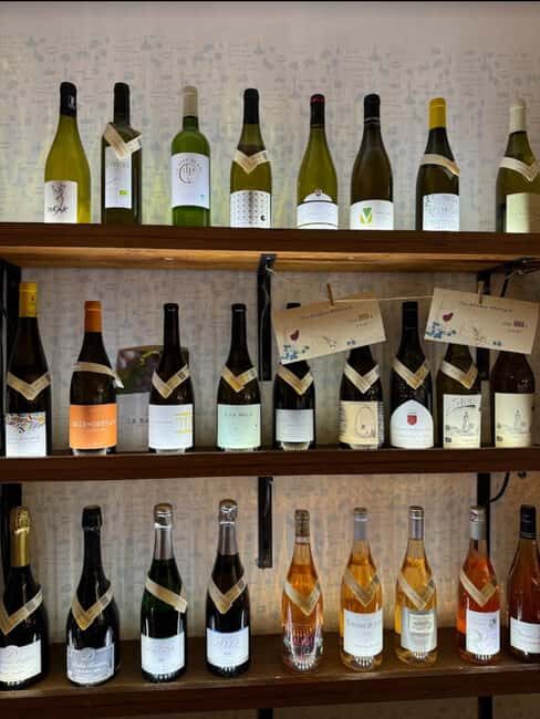 Prague: Hidden Wine Bars and Cellars Tour - The Tour’s Practicalities