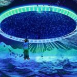 Prague: The World Of Jellyfish Entry Ticket w/ Drink - Who Should Visit?