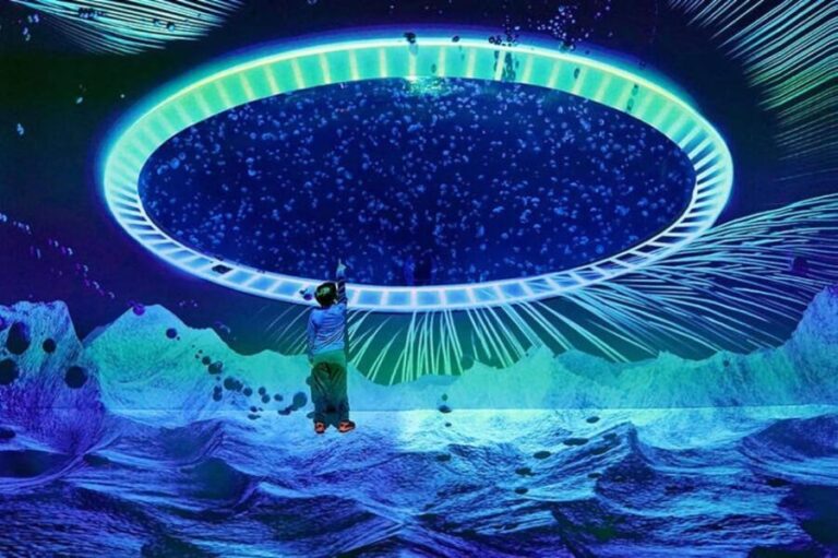 Prague: The World Of Jellyfish Entry Ticket w/ Drink - Who Should Visit?