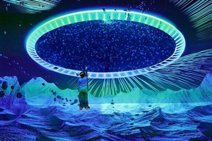 Prague: The World Of Jellyfish Entry Ticket w/ Drink - Who Should Visit?