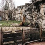 Prague: Zoo Entrance Ticket With Audio Guide & Transfer - Breaking Down the Cost and Value