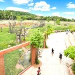 Prague Zoo Online Audio Guide (No ticket) - What Makes the Prague Zoo Special