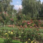 Pragues secrets of famous lovers. Romantic walking tour - Who Would Enjoy This Tour Most?