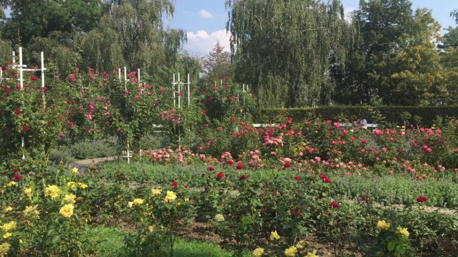 Pragues secrets of famous lovers. Romantic walking tour - Who Would Enjoy This Tour Most?