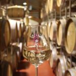 Prahova Salt Mine & Wine Tasting - Private day tour from Bucharest - The Logistics: What You Should Know