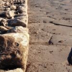 Pre cruise tour - A Closer Look at the Tour Itinerary