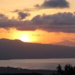 Predawn-Morning Haleakala Bike Tour 6,500 to Sea Level - The Experience: Pros and Cons